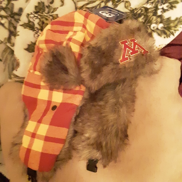 Hat - Picture 2 of 2